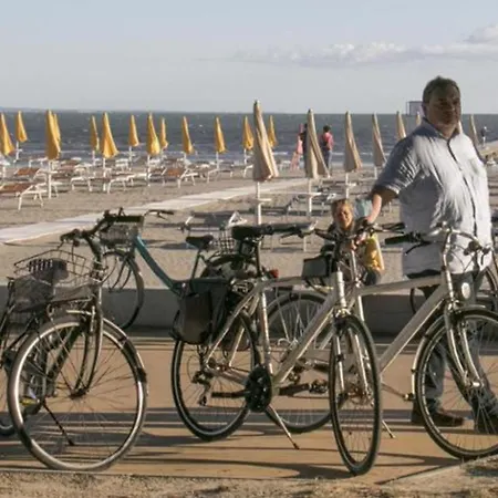 And Cozy Flat At Pineta *