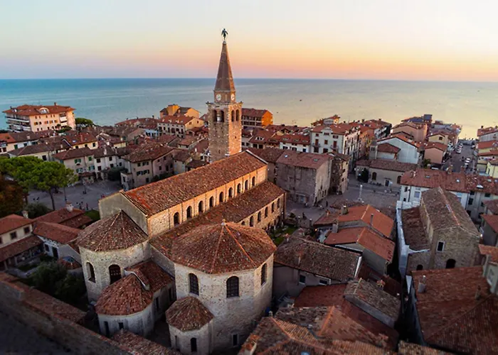 And Cozy Flat At Pineta Apartment